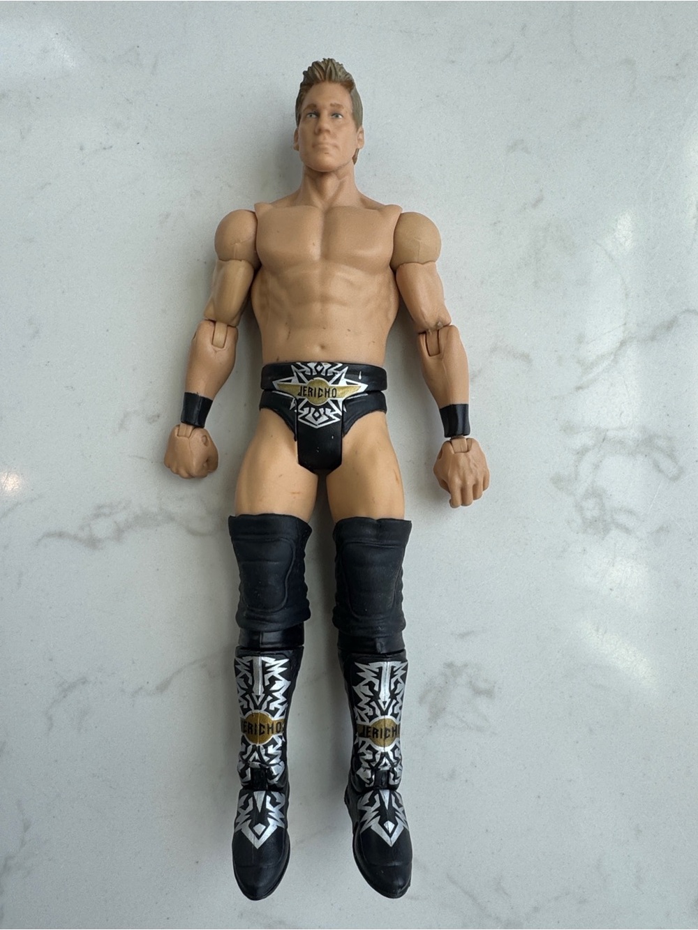 Mattel WWE Chris Jericho YJ2 Basic Series Action Figure 2010